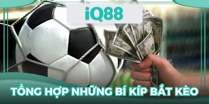 Bỏ túi loạt mẹo bắt kèo nhà cái đơn giản mà hiệu quả