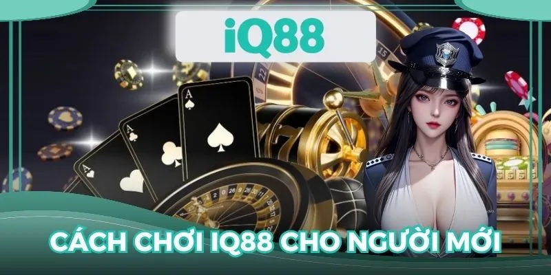 Cách chơi IQ88 cho người mới hiệu quả cho trải nghiệm