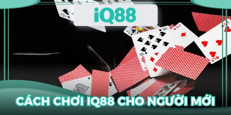 cách chơi IQ88 cho người mới