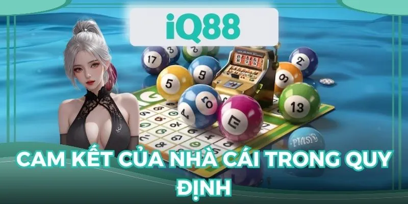 Cam kết quan trọng trong miễn trừ trách nhiệm IQ88