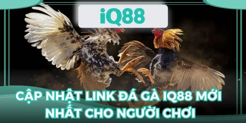 Cần cập nhập link đá gà IQ88 mới nhất để giải trí