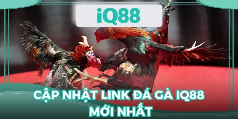 cập nhật link đá gà IQ88 mới nhất