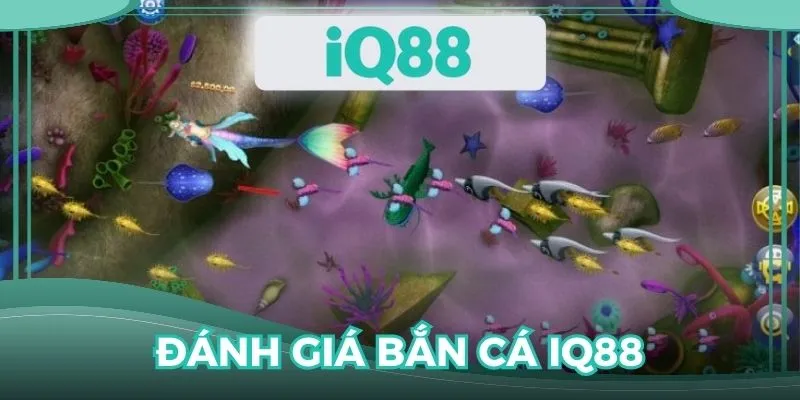 Đánh giá khách quan ưu điểm của bắn cá IQ88