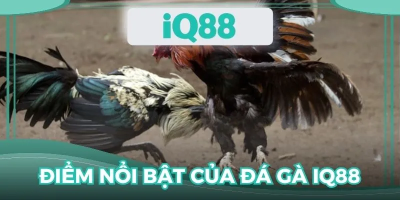 Điểm nổi bật của chuyên mục giải trí ăn khách