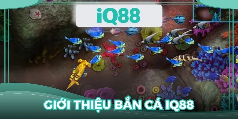 Giới thiệu về chuyên mục săn cá đổi thưởng đình đám