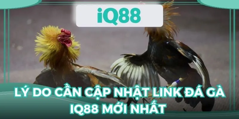 Người chơi được nhiều lợi ích khi cập nhật đường dẫn nhà cái