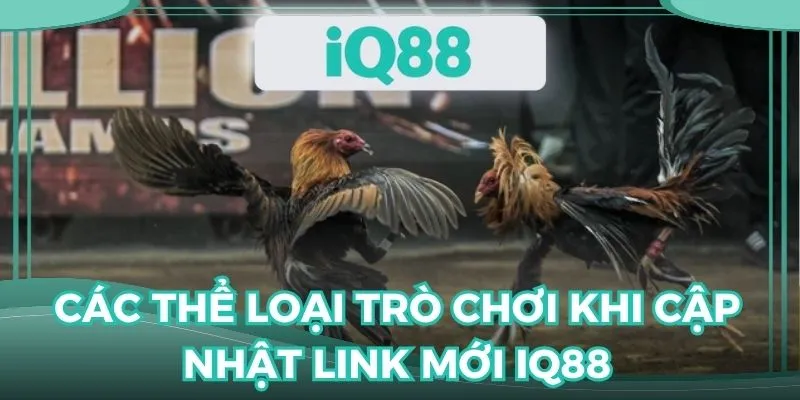 Nhiều game hot khi cập nhật link đá gà IQ88 mới nhất