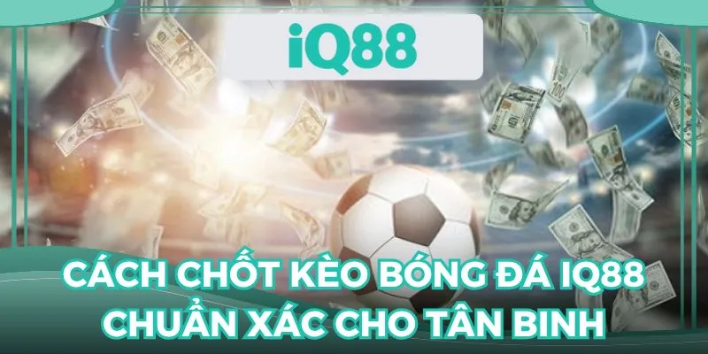 Những mẹo hay giúp tân binh dễ dàng chốt kèo thành công