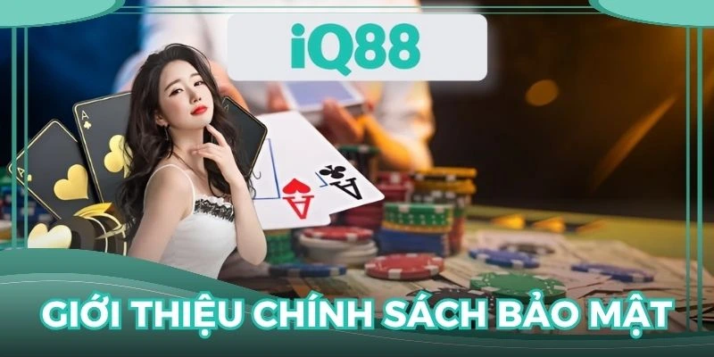 Thành viên cần hiểu tầm quan trọng của chính sách bảo mật IQ88