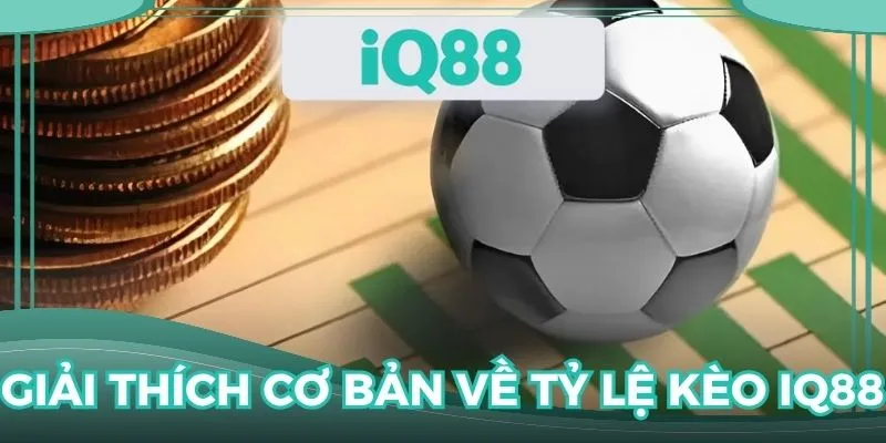 Tổng quan về những thông số tỷ lệ mới nhất từ nền tảng