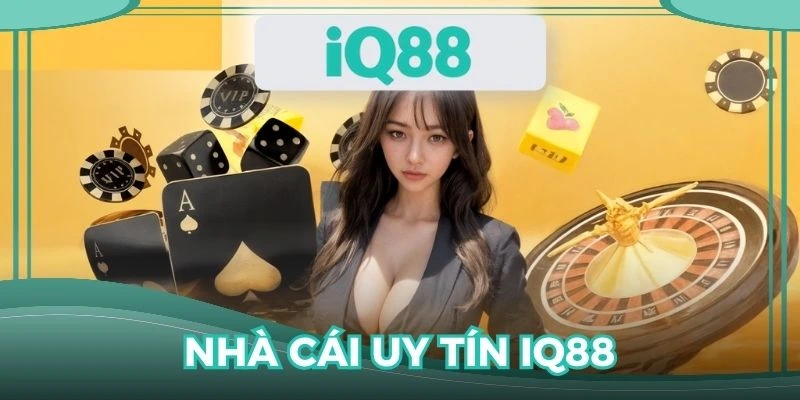 Vài nét cơ bản khi giới thiệu IQ88