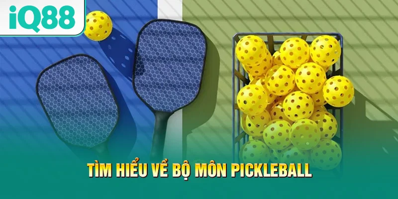 tim-hieu-ve-bo-mon-pickleball